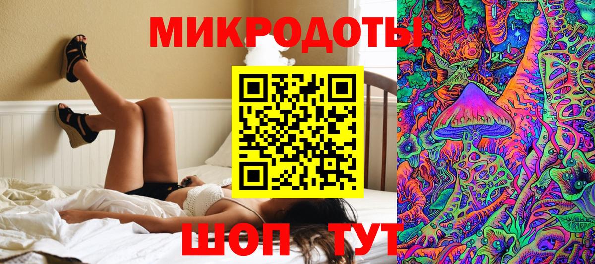 Псилоцибиновые грибы Cubensis Алейск