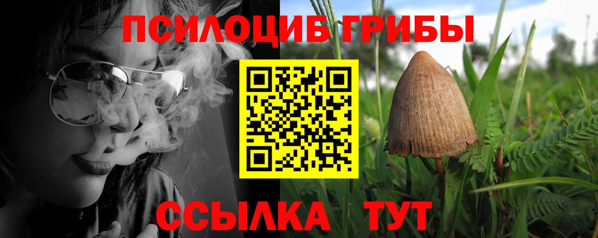 Псилоцибиновые грибы мухоморы  Галлюциногенные грибы Psilocybine cubensis  Алейск  Вход с VPN 